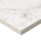 Msi Calacatta Nowy 61"x22" Double Bowl Engineered Marble Vanity Top ZOR-DBVANS-6122-0001 - alternate 2